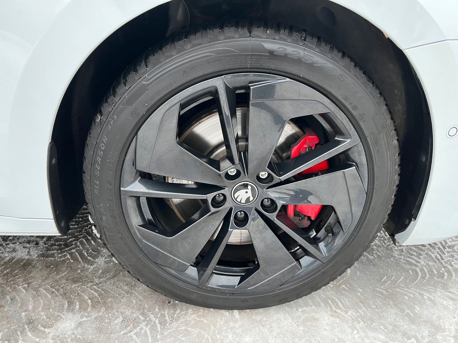 Fahrzeugabbildung SKODA Octavia Combi 2.0 TSI RS +Headup/Kamera/AHK+